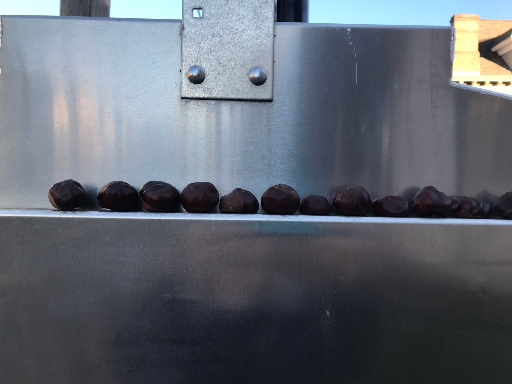 A row of buckeyes on top of a traffic light control tower